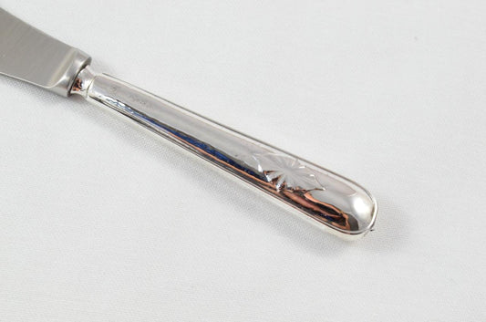 Cased Sheffield Sterling Silver Handled Butter Knife Wellington Pattern 1919